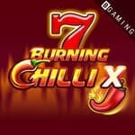 Slot game Burning Chilli X by BGaming